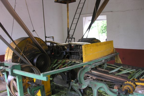 meksyk-260.jpg